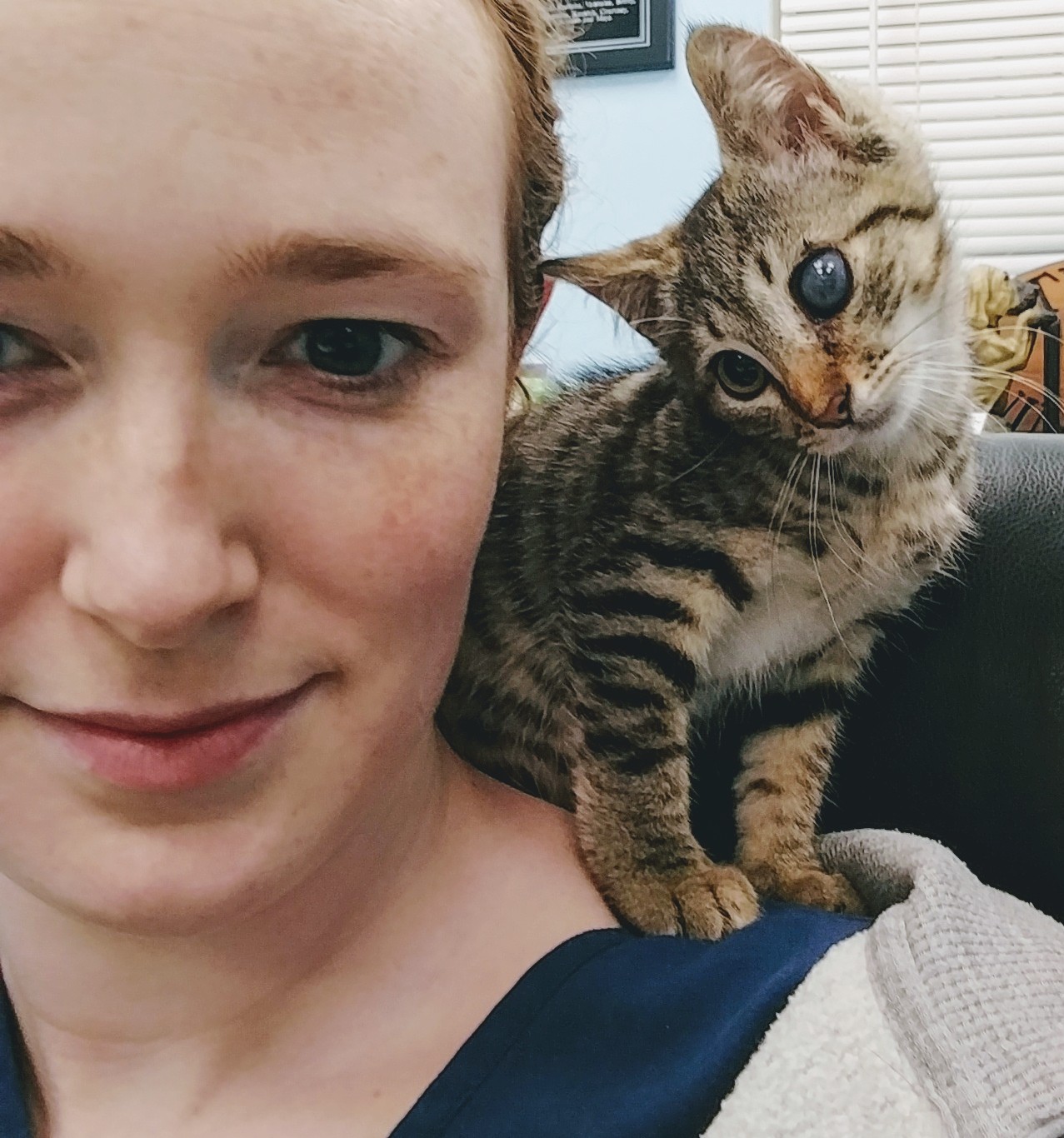 Kitten on womans shoulder