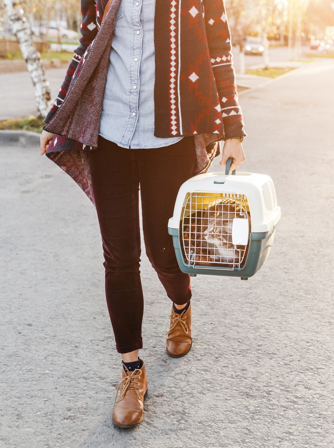 Person walking with cat in carrier