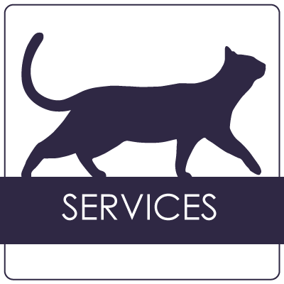 Services